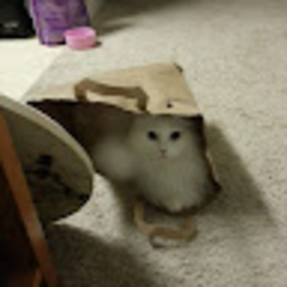 phil_up